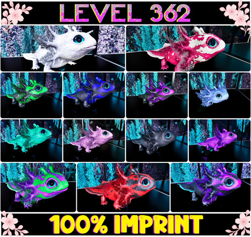 Tidepup level 362 100 imp - tidepup, [100%imp]