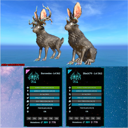 Top stat burrowbuck paarung - top,