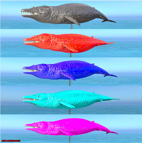 Top stat basilosaurus - stat,