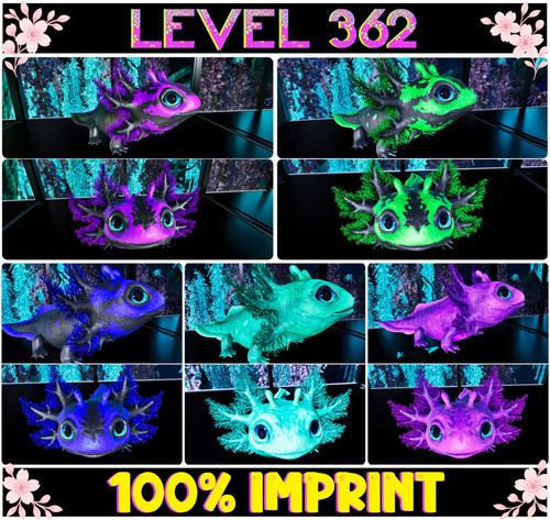 Tidepup level 362 100 imp - tidepup,