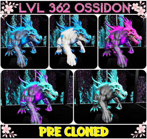 Ossidon 978md 145pts lvl 362 - lvl,