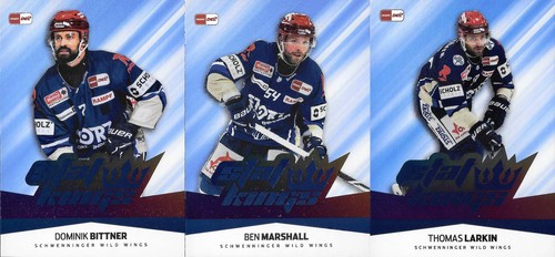 Del playercards 2025 - del,
