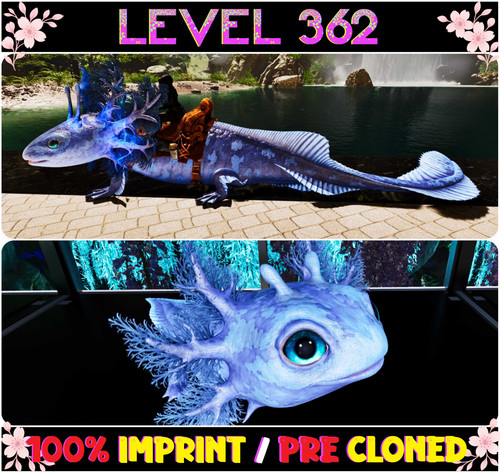 Tidepup level 362 - 362, ark🌸