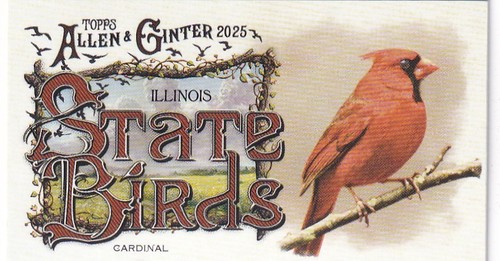 2025 topps allen - 2025, ginter